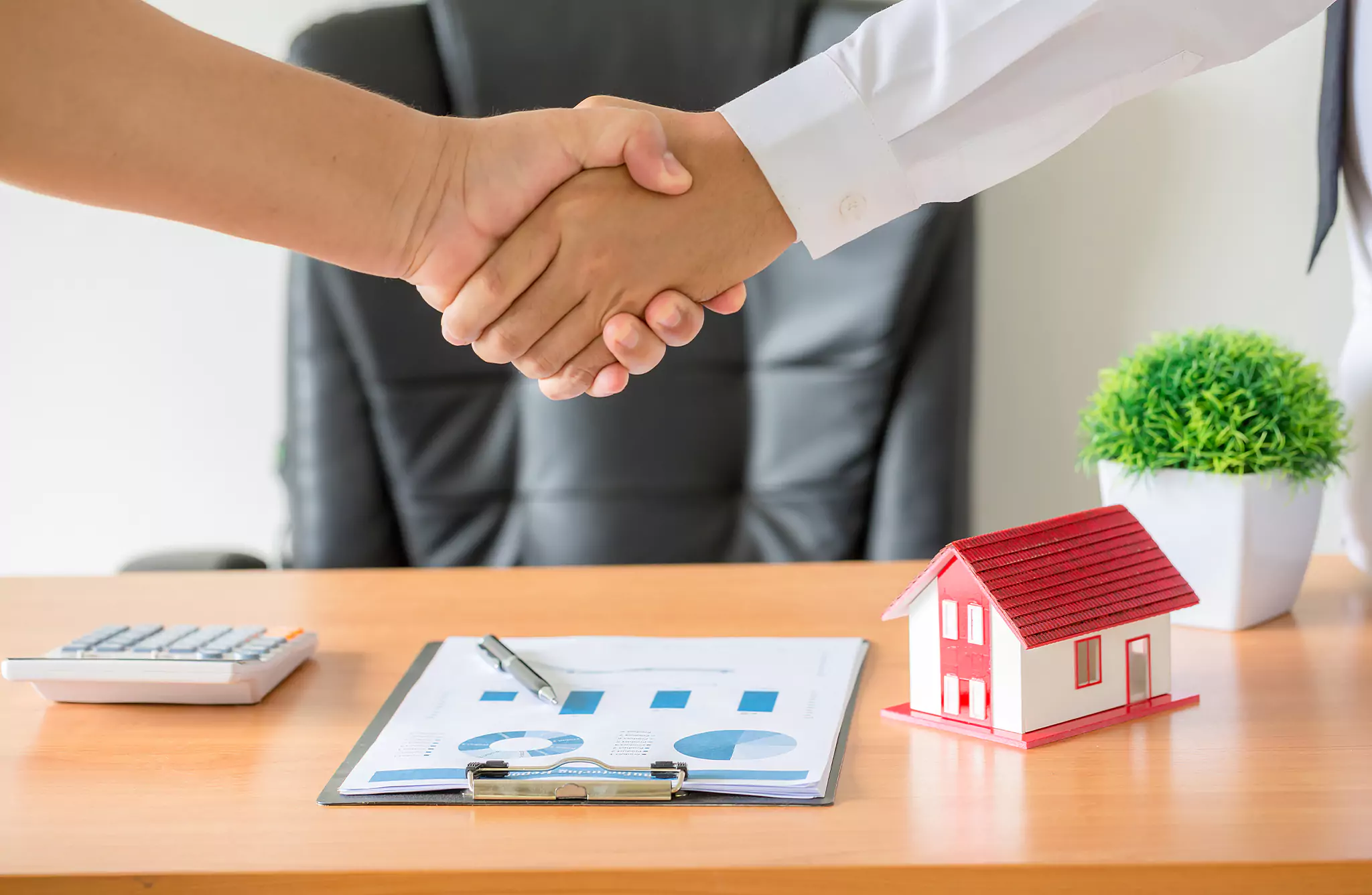 Real Estate Professional